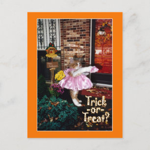 Halloween-vykort för trick eller Beat Kattunge Vykort