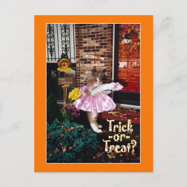 Halloween-vykort för trick eller Beat Kattunge Vykort (Framsida)