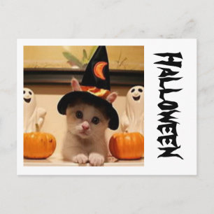 Halloween-vykort Vykort
