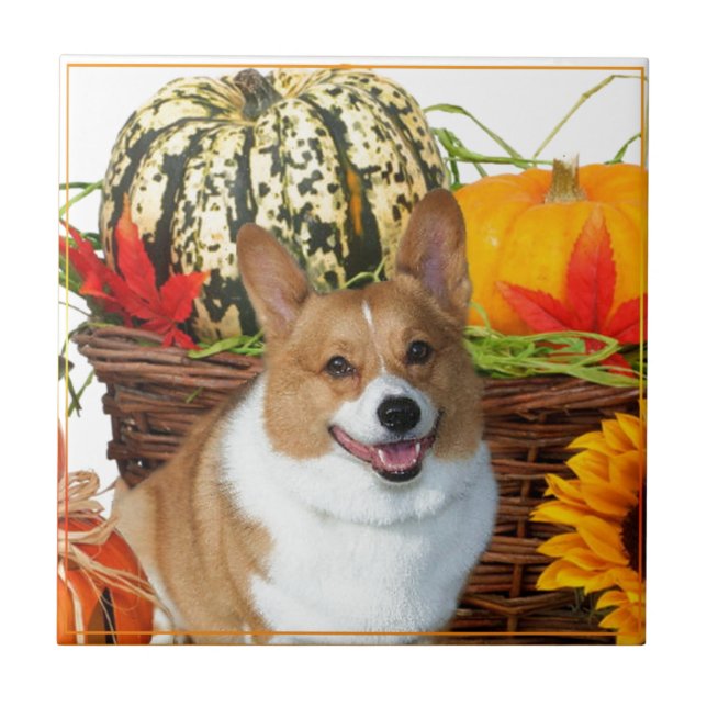 Halloween walesisk Corgihund Kakelplatta (Framsidan)