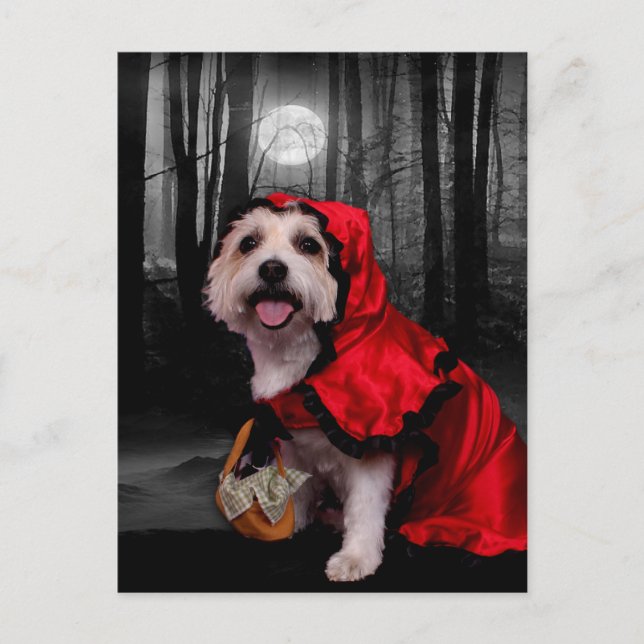 Halloween - Westie - Dam Vykort (Framsida)