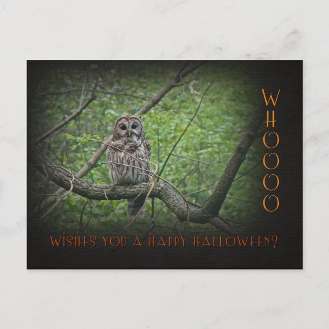 Halloween Wishies - Barred Uggla Vykort (Framsida)