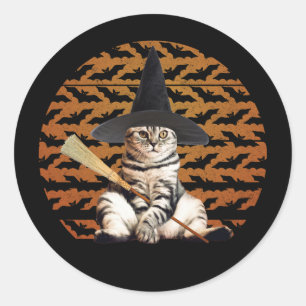 Halloween Witch Cat Runt Klistermärke