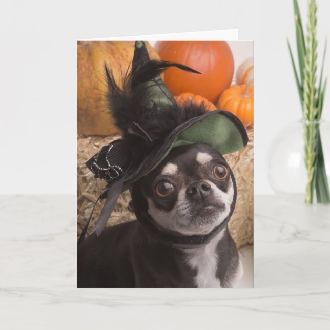 Halloween Witch Hund Kort (Framsida)