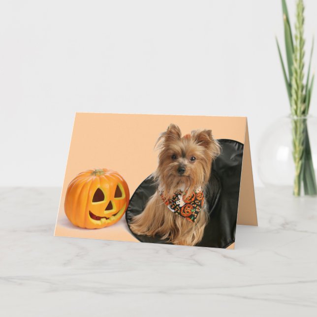 Halloween Yorkie Kort (Framsida)