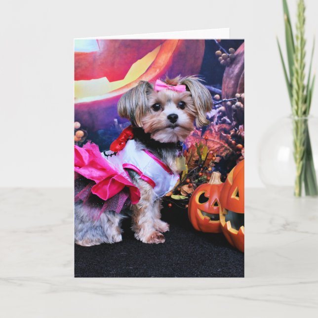 Halloween - Yorkie - Zoey Kort (Framsida)