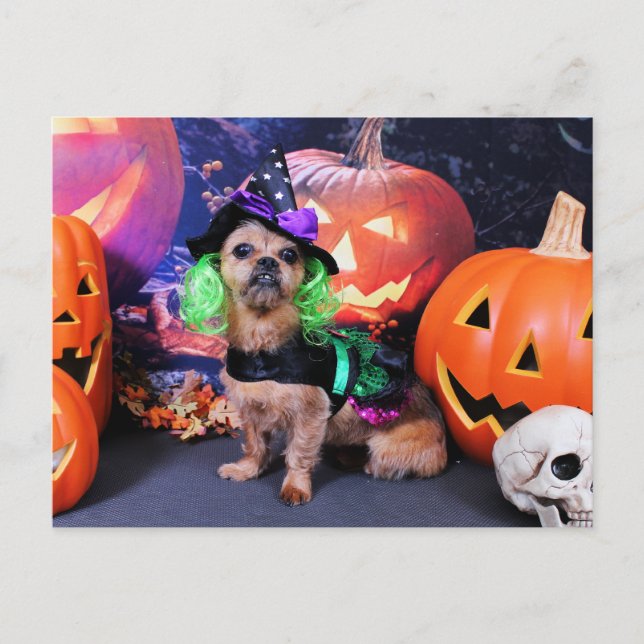 Halloween - YorkiePekeX -Clara Vykort (Framsida)