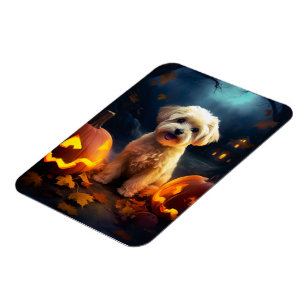 Halloween Yorkipoo med pumpor Magnet