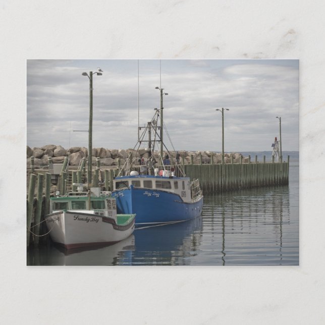 Hall's Harbour Postcard Vykort (Framsida)