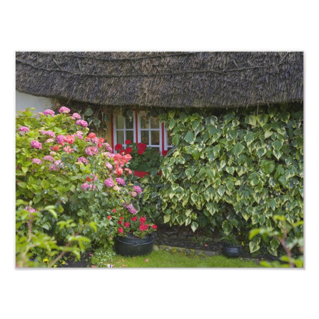 Halmtak stuga, Adare, County Limerick, Fototryck (Framsidan)