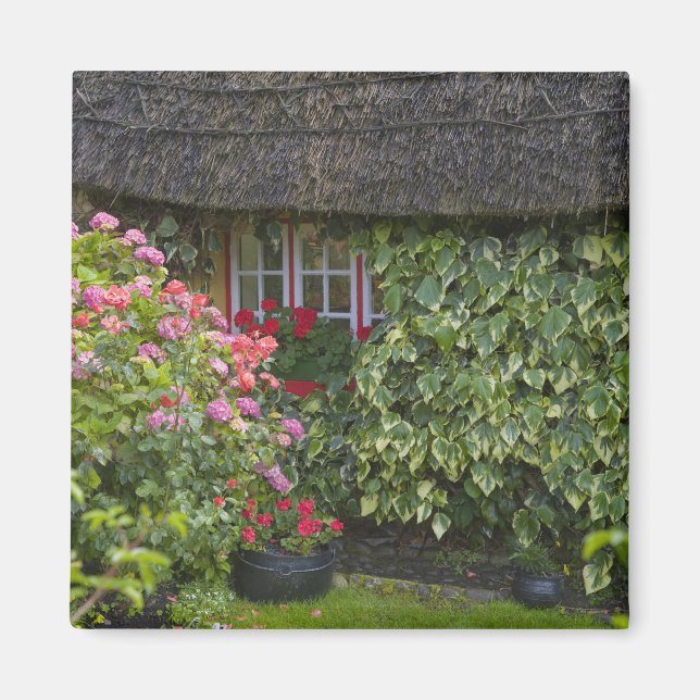 Halmtak stuga, Adare, County Limerick, Magnet (Framsidan)