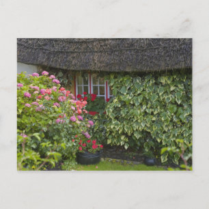Halmtak stuga, Adare, County Limerick, Vykort