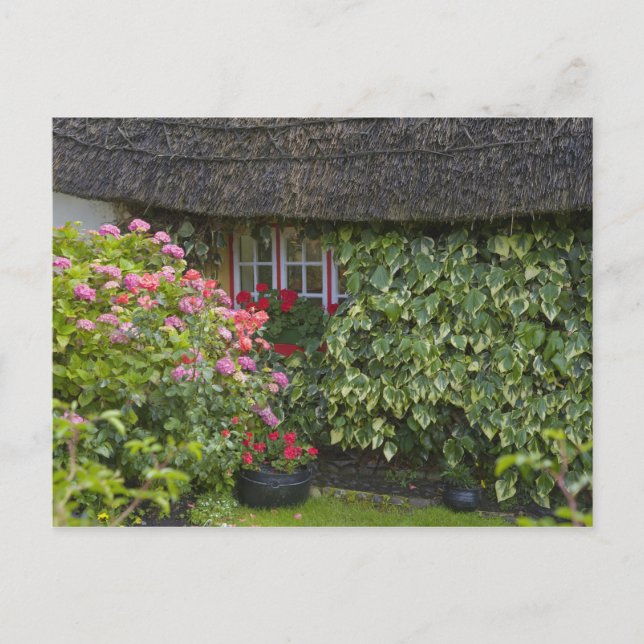Halmtak stuga, Adare, County Limerick, Vykort (Framsida)