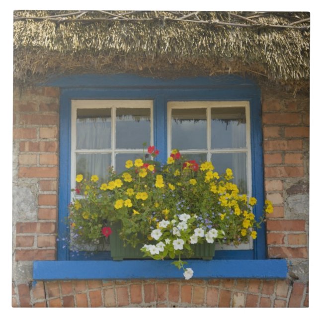 Halmtakstuga, Adare, County Limerick, Kakelplatta (Framsidan)