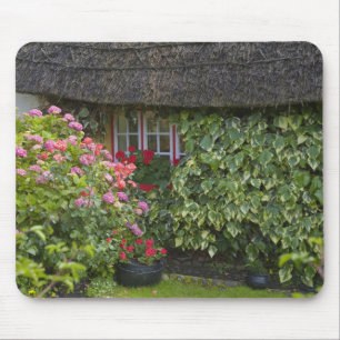 Halmtakstuga, Adare, County Limerick, Musmatta