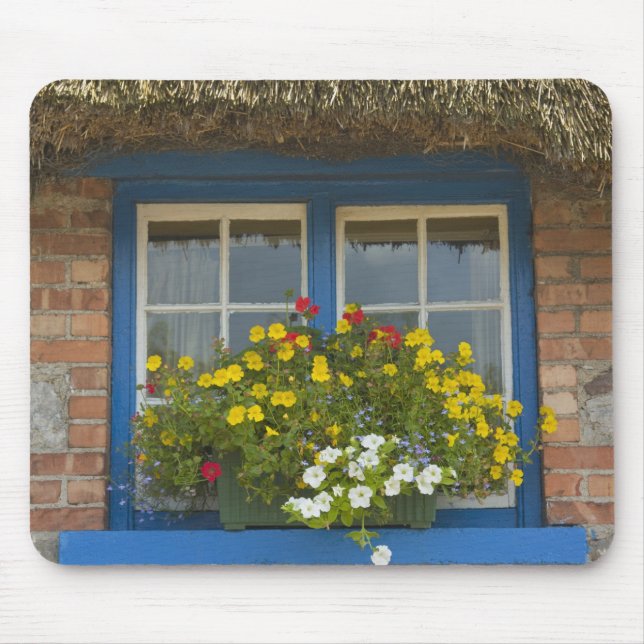 Halmtakstuga, Adare, County Limerick, Musmatta (Framsidan)