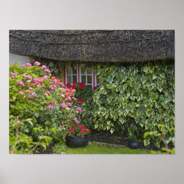Halmtakstuga, Adare, County Limerick, Poster (Framsidan)