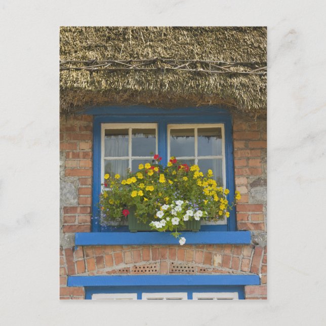 Halmtakstuga, Adare, County Limerick, Vykort (Framsida)