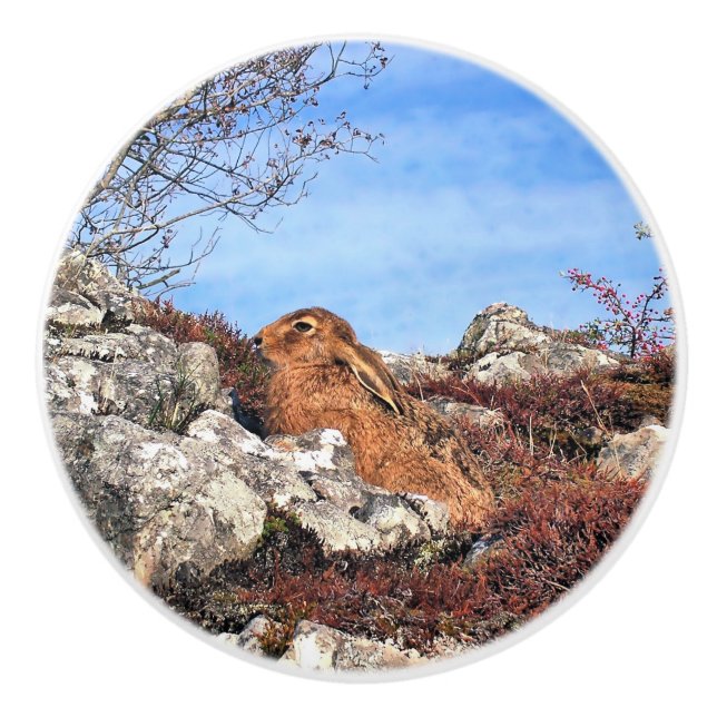 HÄLSA KNOPP (Framsidan)