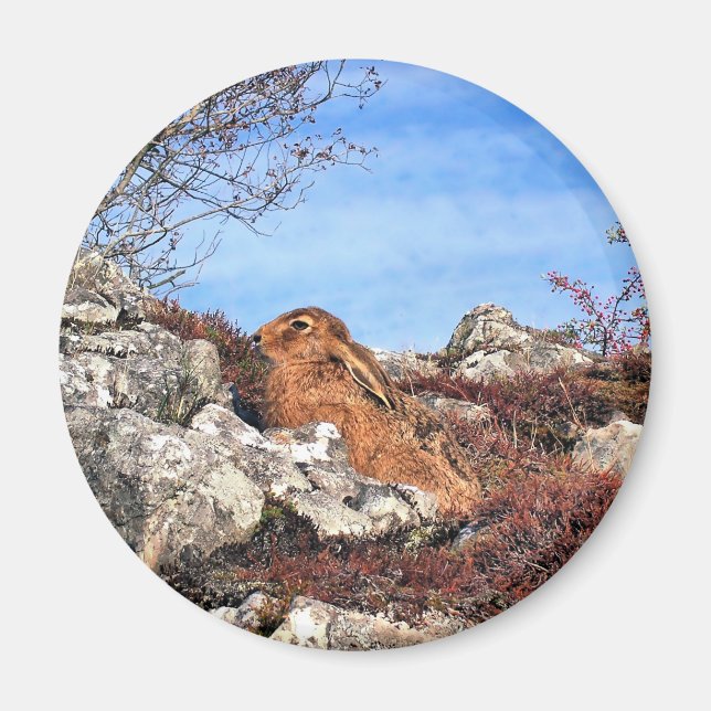 HÄLSA MAGNET (Framsidan)