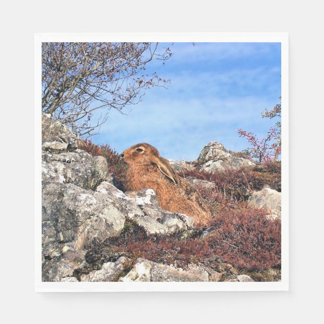 HÄLSA PAPPERSSERVETT (Framsidan)