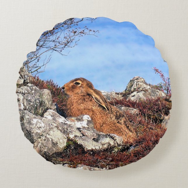 HÄLSA RUND KUDDE (Framsidan)