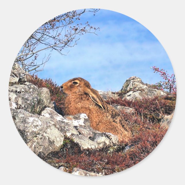 HÄLSA RUNT KLISTERMÄRKE (Framsida)