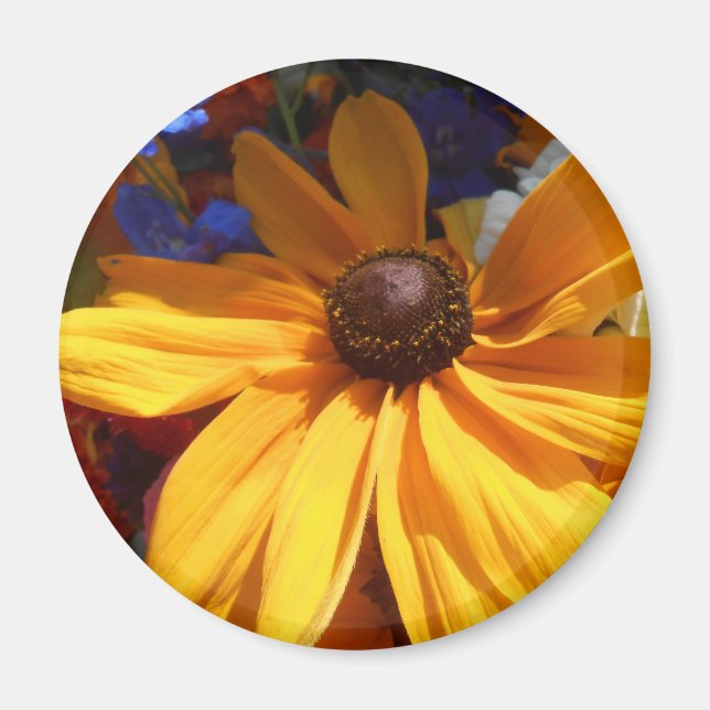 Halse Magnet (Framsidan)