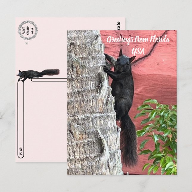 Hälsning efter passage från och med den ... Black  Vykort (Fram/baksida)