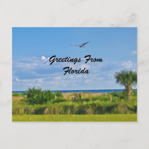 Hälsning, Florida, vykort