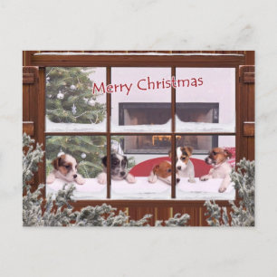 Hälsning för önskemål för jackRussell jul Helg Vykort
