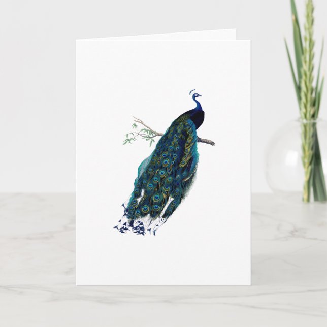 Hälsning för vintagepåfågelillustration kort (Framsida)