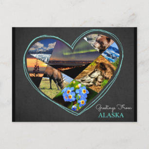 Hälsning från Alaska ♥ vykort