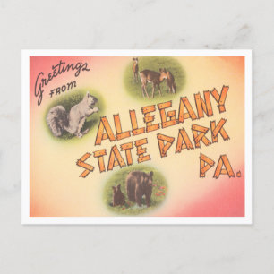 Hälsning från Allegany State Park i Pennsylvania Vykort