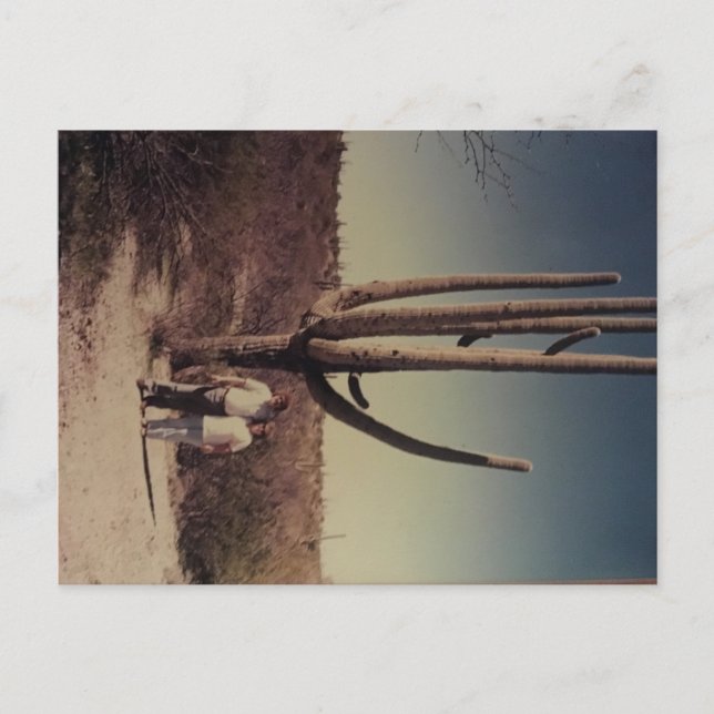 Hälsning från Arizona-vykort!!!! Vykort (Framsida)