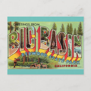Hälsning från Big Basin California vintage art Vykort