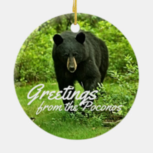 Hälsning från björnen för Poconos trädgårdsvart Julgransprydnad Keramik
