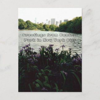 Hälsning från Central Park i New York City Vykort