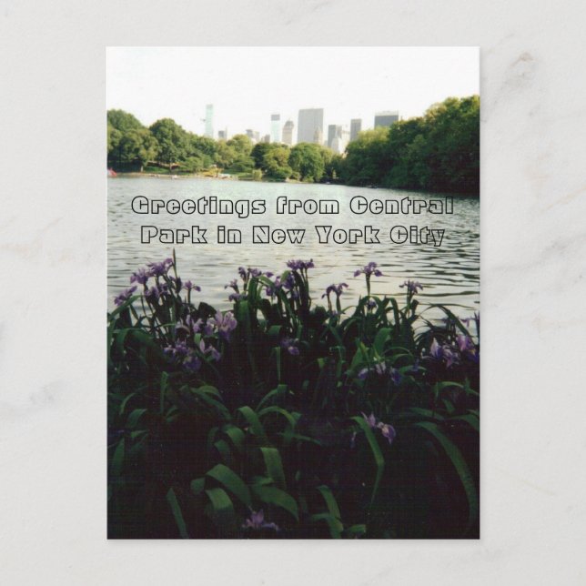 Hälsning från Central Park i New York City Vykort (Framsida)