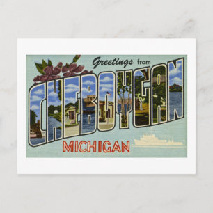 Hälsning från Cheboygan Michigan! Vykort
