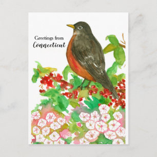 Hälsning från Connecticut American Robin Vykort