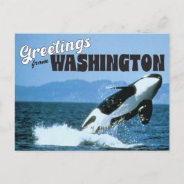 Hälsning från delstaten Washington med Orca Whale Vykort