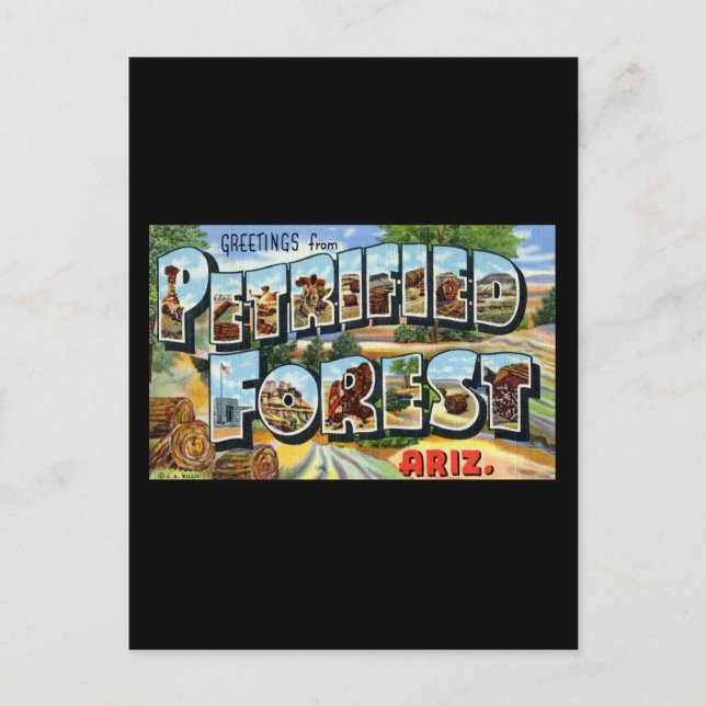 Hälsning från den Petrified Forest Arizona Vykort (Framsida)