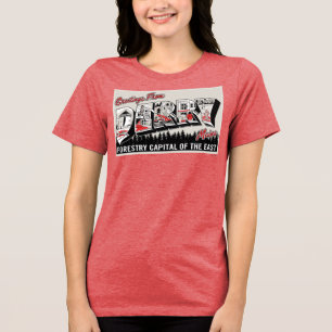 Hälsning från Derry Maine T Shirt