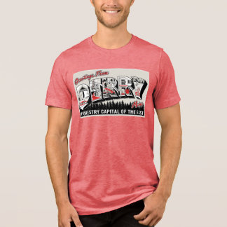 Hälsning från Derry Maine T Shirt