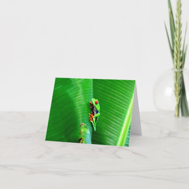 Hälsning från en rödögd träd groda kort (Framsida)