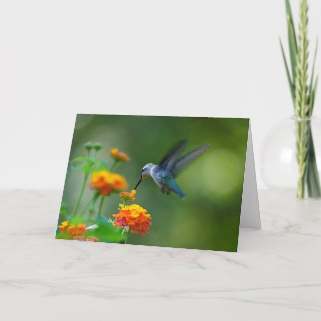 Hälsning! Från en sommarhummer! Kort (Framsida)