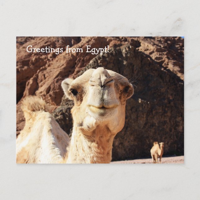 Hälsning från ett egyptiskt läger vykort (Framsida)