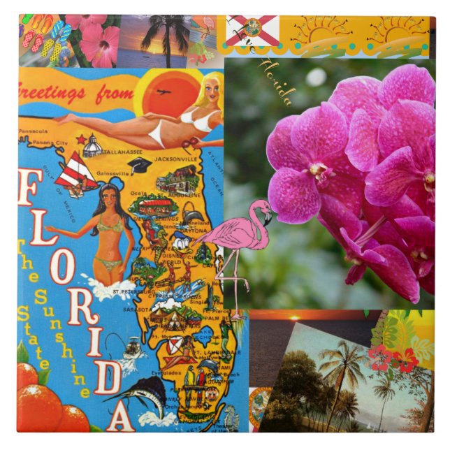 Hälsning från Florida Kakelplatta (Framsidan)