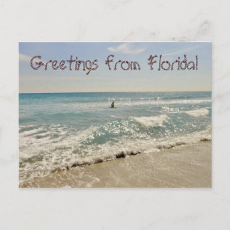 Hälsning från Florida Miami Vykort